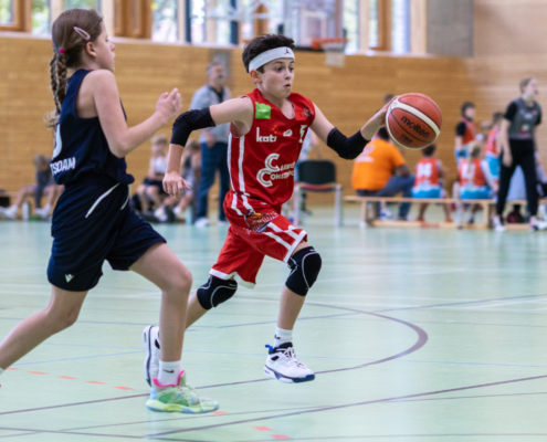 Basketball Brandenburg